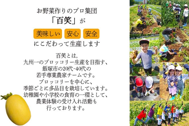 【A6-044】農家直送 程よい甘さのマクワウリ約3.5kg (8-12個)＜2026年7月下旬から発送開始分先行予約＞