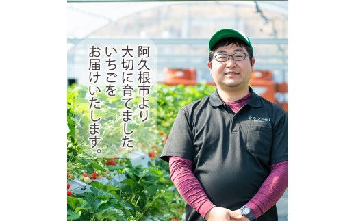 ＜先行予約受付中！2026年12月上旬以降順次発送予定＞凍眠君使用！農園ガーデン空産冷凍いちご(計1.8kg・600g×3P)国産 鹿児島県産 いちご イチゴ 苺 恋みのり 紅ほっぺ かおり野 フルーツ 果物 くだもの おやつ 冷凍 凍眠 フローズン 自社農園【農園ガーデン空】akn026-04