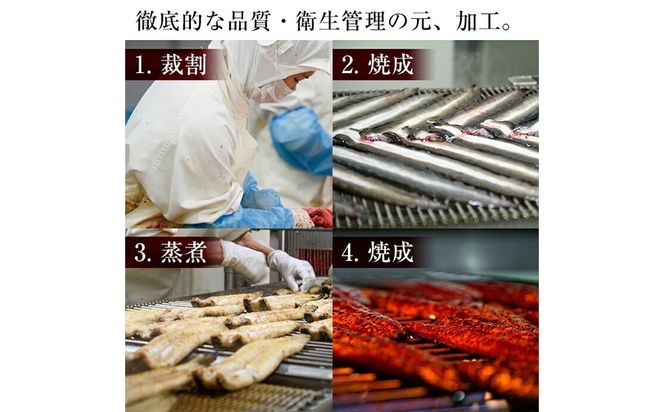 鹿児島県産うなぎ蒲焼 名水慈鰻 特大5尾(1尾190g以上)＜計950g以上＞ c5-035