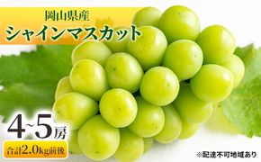 ぶどう 2026年 先行予約 シャインマスカット 晴王 4〜5房 合計2.0kg前後 マスカット ブドウ 葡萄 岡山県産 国産 フルーツ 果物 ギフト 果物類 [№5735-1894]