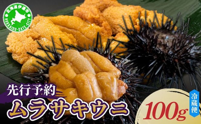 ＜先行予約＞ 北海道産 ムラサキウニ（正規品）【ogm-027】うに 海鮮 国産 北海道 伊達 ふるさと納税