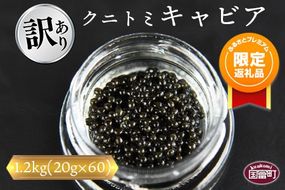 【ふるプレ限定品】【訳あり】＜クニトミキャビア 1.2kgセット(20g×60)＞翌月末迄に順次出荷【a0200_mc】