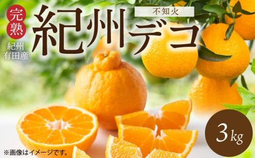 G7360_【2027年先行予約】デコポン 紀州デコ 3kg 完熟 濃厚 国産 紀州 有田 不知火 柑橘 果物 果実 フルーツ 柑橘の王様 まろやか 甘い ジューシー コク プリプリ 果肉 お取り寄せ 和歌山県 湯浅町 送料無料
