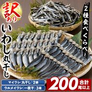 訳あり！イワシ丸干しセット(合計200尾以上) 国産 鹿児島県産 阿久根市産 魚 魚介 水産 訳あり 訳アリ いわし 鰯 ウルメイワシ うるめいわし めざし 真イワシ 真いわし マイワシ まいわし 丸干 一夜干 食べ比べ セット 詰め合わせ 【鈴木海産】akn091-03