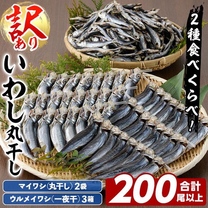 訳あり！イワシ丸干しセット(合計200尾以上) 国産 鹿児島県産 阿久根市産 魚 魚介 水産 訳あり 訳アリ いわし 鰯 ウルメイワシ うるめいわし めざし 真イワシ 真いわし マイワシ まいわし 丸干 一夜干 食べ比べ セット 詰め合わせ 【鈴木海産】akn091-03