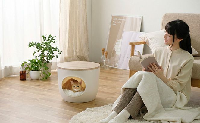 インテリアペットハウス ライトナチュラル IPH-424 アイリスオーヤマ 雑貨 ペット用品 猫用 おうち 洗える 