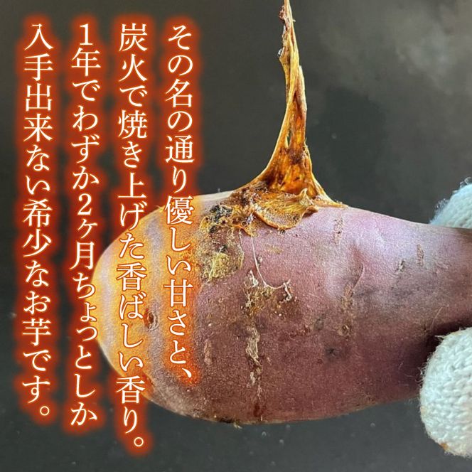 【日本最大級のサツマイモの祭典、さつまいも博2024 出店】はるの優しさ(冷凍やきいも) 約500g｜冷凍 焼芋 焼き芋 やきいも さつまいも さつま芋 熟成 茨城県 行方市 ふるさと納税(GC-1)