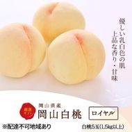 桃 2026年 先行予約 白桃 5玉 (1.5kg以上) 等級：ロイヤル 木箱入り もも モモ 岡山県産 国産 フルーツ 果物 セット ギフト [№5735-2003]