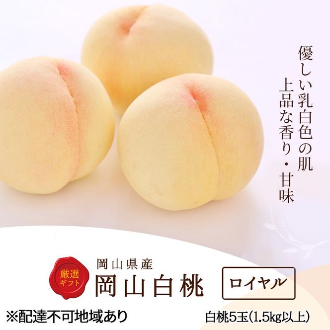 桃 2026年 先行予約 白桃 5玉 (1.5kg以上) 等級：ロイヤル 木箱入り もも モモ 岡山県産 国産 フルーツ 果物 セット ギフト [№5735-2003]