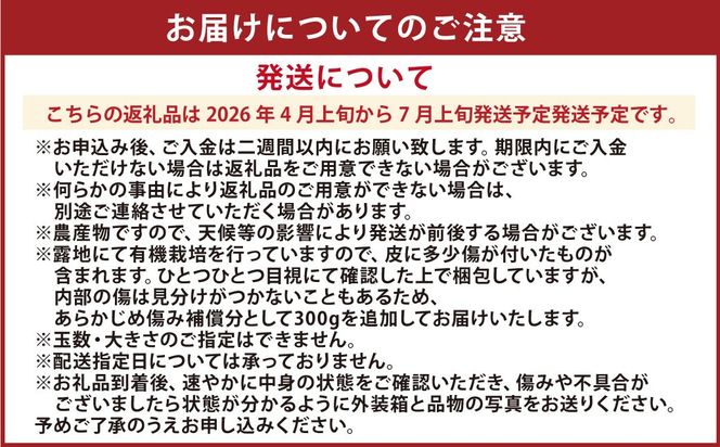 【先行受付】特別栽培河内晩柑 9kg サイズミックス 特別栽培 河内晩柑 柑橘 晩柑 ばんかん バンカン フルーツ 果物 果実 九州産 熊本県産【2026年4月上旬から7月上旬発送予定】