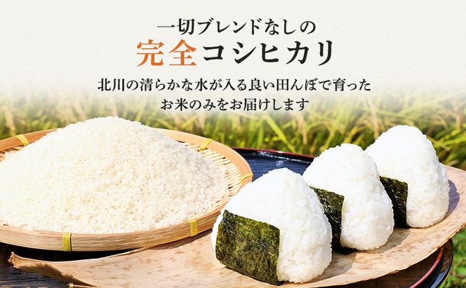 R7年産 米 コシヒカリ 10kg 産地直送 一等米 特A 特A米 お米 白米 精米 新米 ご飯 10キロ おこめ こめ コメ ごはん こしひかり 福井県 福井 若狭町 若狭 送料無料