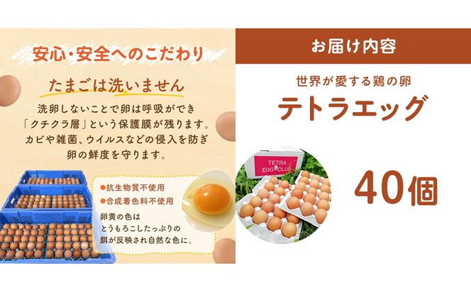 【A5-459】テトラエッグ40個入