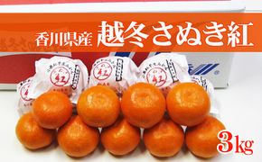 みかん 越冬完熟 さぬき紅 さぬき紅みかん 小原紅早生みかん 小原紅早生 香川県産 国産 約3kg 樹上完熟 越冬 早生みかん 温州みかん 香川県オリジナル品種 希少 柑橘 柑橘類 蜜柑 ミカン 果物 くだもの フルーツ 果実 五色青果 香川県 東かがわ市 46312056