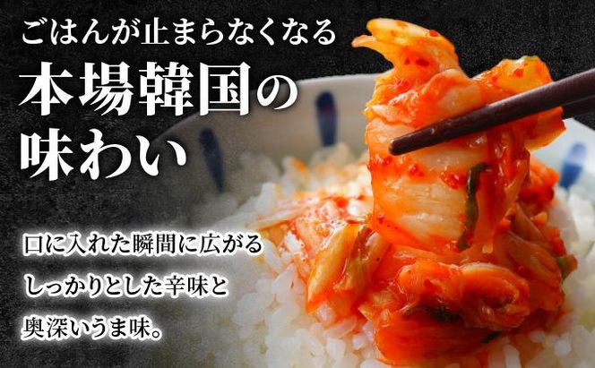 本場の味 韓国白菜キムチ 800g（400g×2P) | キムチ 韓国キムチ 本場キムチ 発酵キムチ 国産野菜 キムチ 手作りキムチ 無添加キムチ 自然発酵 乳酸菌 キムチ お取り寄せ ごはんのお供 おつまみ 辛い グルメ 人気 冷蔵