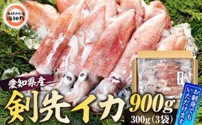 愛知県産　剣先イカ(アカイカ)3袋