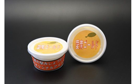 道の駅オリジナル「愛南ゴールドアイスクリーム」8個 アイス アイスクリーム シャーベット デザート スイーツ お菓子 食品 冷凍 みかん 蜜柑 柑橘 河内晩柑  愛南総研 道の駅MIC