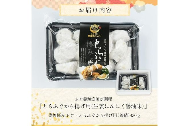 とらふぐ 唐揚げ 生姜にんにく醤油味 (約430g) とらふぐ ふぐ フグ 唐揚げ 醤油 にんにく 生姜 簡単 揚げるだけ おつまみ 冷凍 養殖 国産 大分県 佐伯市【DK08】【(有)エイコー水産】