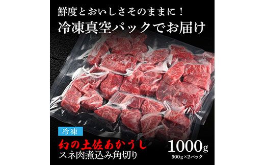 【CF-R7hbk】土佐あか牛協会が認定する「土佐熟成あかうし」特選スネ肉 煮込み角切り 500g×2 合計1kg エイジングビーフ スネ肉 国産 あか牛 赤牛 肉 牛肉 和牛 人気 老舗焼肉店 冷凍 新鮮 真空パック 高級 高知 高知県 芸西村 故郷納税 21000円 返礼品 贈答品 ギフト
