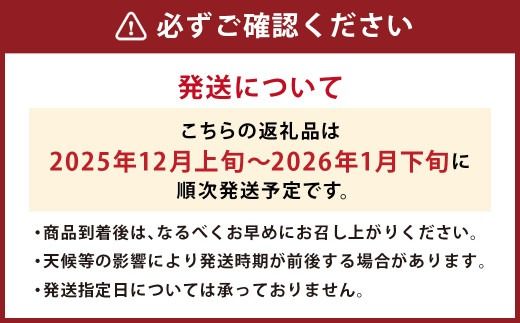 【冬】 あまおう いちご 約250～270g×4パック 【2025年12月上旬～2026年1月下旬発送予定】 大粒