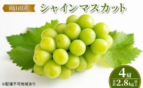 ぶどう 【2026年 先行予約】 シャインマスカット 4房(合計2.8kg以上) マスカット ブドウ 葡萄 岡山県産 国産  フルーツ 果物 ギフト