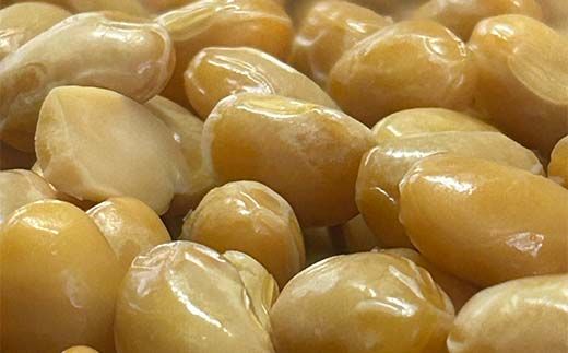 こだわり材料の簡単味噌づくりセット 約3kg分 北原こうじ店 F4N-1839