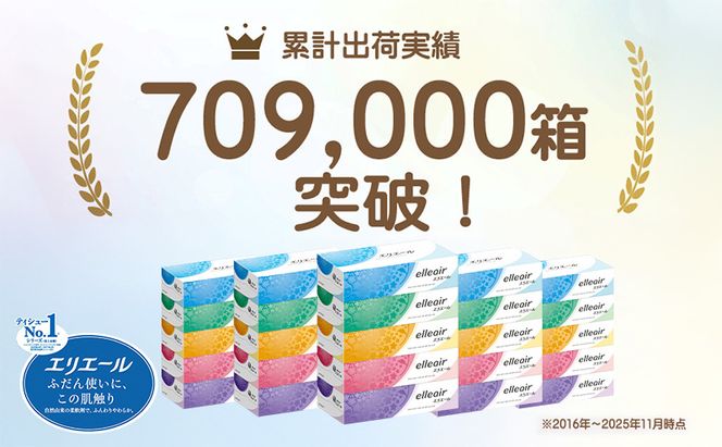 【2回お届け 計120箱】エリエール ティシュー 180組5箱 12パック ティッシュペーパー 箱ティッシュ ボックスティッシュ 紙 まとめ買い 防災 常備品 備蓄品 消耗品 日用品 生活必需品 送料無料 赤平市 ストック 