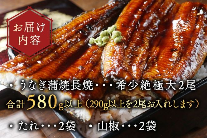 国産 希少 超極大 特上うなぎ(290g×2尾)【OT000O290】