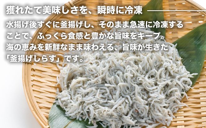 淡路島シラスの釜揚げ 100ｇ8袋入り（800ｇ）