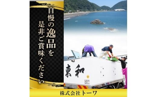 生簀直送 とらふぐ ぽん酢付き 刺し身 セット (刺し身×3皿・ヒレ×10g・皮スライス×60g) 魚 ふぐ 河豚 刺身 さしみ 小分け かぼす ポン酢 もみじおろし 冷凍 瞬間凍結 佐伯 養殖 国産 【EA17】【トーワ】