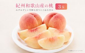 秀品　紀州和歌山産の桃　3玉　化粧箱入　※2027年6月下旬頃〜8月上旬頃順次発送（お届け日指定不可）【uot750】