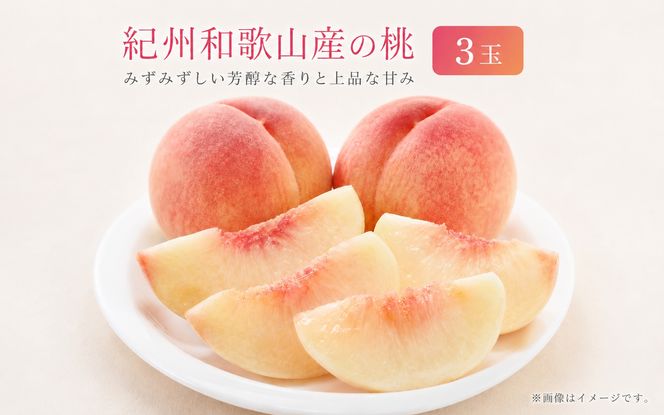 秀品　紀州和歌山産の桃　3玉　化粧箱入　※2027年6月下旬頃〜8月上旬頃順次発送（お届け日指定不可）【uot750】