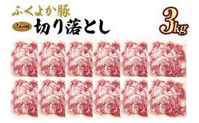 豚肉 ふくよか豚 切り落とし 3.0kg（250g×12パック） モモ ウデ モモ肉 ウデ肉 小分け 真空パック ブタ肉 ぶた肉 生姜焼き 焼きそば 豚汁 冷凍 福岡県 福岡 九州 グルメ お取り寄せ