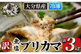 ＜訳あり＞ 無塩 ブリカマ (約3kg)大分県産 国産 ぶりかま ブリ ぶり 鰤 養殖ブリ 煮つけ 鰤かま カマ焼き 冷凍 大分県 佐伯市【ET002】【三宅水産】