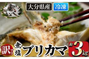 ＜訳あり＞ 無塩 ブリカマ (約3kg)大分県産 国産 ぶりかま ブリ ぶり 鰤 養殖ブリ 煮つけ 鰤かま カマ焼き 冷凍 大分県 佐伯市【ET002】【(有)三宅水産】