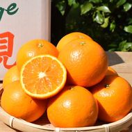 和歌山県産 有田の清見 約5kg 秀品