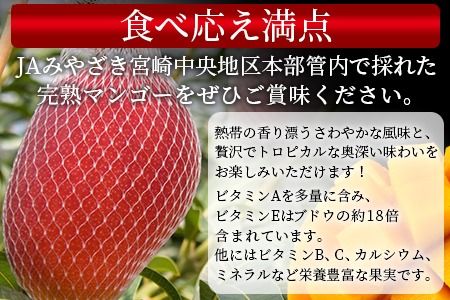 予約受付！数量限定！【2025年発送】＜宮崎県産 太陽のタマゴ A等級 4Lサイズ×2玉（合計約1kg）＞2025年4月下旬～6月末迄に順次出荷【 果物 フルーツ 太陽のタマゴ 太陽のたまご 完熟マンゴー マンゴ― 期間限定 先行予約 ギフト 贈答用 送料無料 】【a0259_ja】