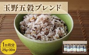 玉野 五穀 ブレンド 1か月分（30個入り） お米 雑穀 黒米 もちきび はとむぎ 大豆 たかきび 雑穀ブレンド 