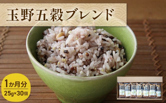 玉野 五穀 ブレンド 1か月分（30個入り） お米 雑穀 黒米 もちきび はとむぎ 大豆 たかきび 雑穀ブレンド 