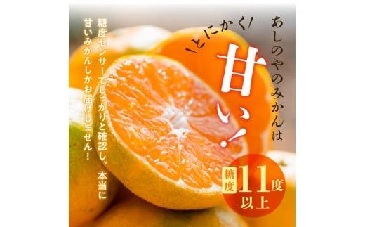 ZE6515_【2026年先行予約】【秀品】和歌山県産　有田みかん 約7kg 秀品（S～Ｌサイズ混合）【まごころ手選別】
