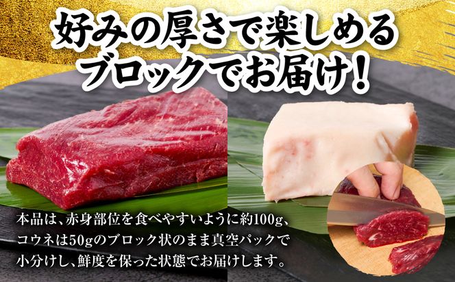国産 熊本肥育 紅白馬刺しセット 合計600g （赤身500g・コウネ100g） 馬肉 赤身 コウネ たてがみ 刺し身 刺身 新鮮 ヘルシー おつまみ 晩酌 贈り物 真空パック ブロック 冷凍 熊本県 八代市