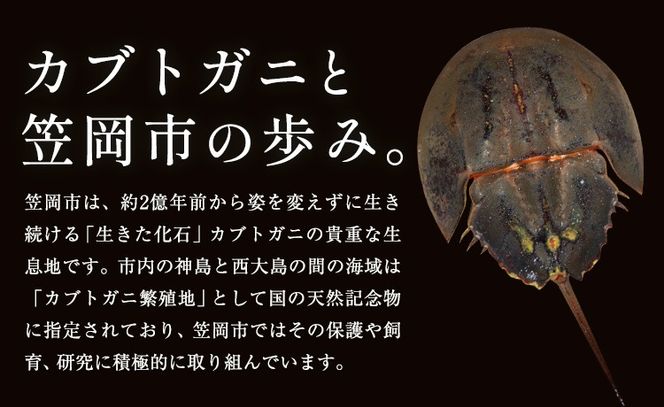 レザー 革製 カブトガニ タックピン ブローチ 革 選べる 5色 JS stage株式会社 《30日以内に出荷予定(土日祝を除く)》岡山県 笠岡市 ハンドメイド ファッション イタリアンレザー---J-12_r---