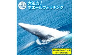 ホエールウォッチング 船一隻チャーター便相当 1～5名 40000円分クーポン相当 チャーター便 貸し切り レジャー 体験型 アクティビティ 旅行 観光 遊ぶ【宇佐ホエールウォッチング協会】 [BQCH004]