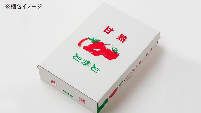 【 2026年 収穫分 先行予約 】 -太陽の味- 渋谷トマト 大玉トマト・ミニトマト詰め合わせ 約2kg 2026年1月5日～発送開始 トマト ミニトマト 茨城 産地直送 農家直送リコピン ビタミン 有機肥料 野菜 甘い 直売所 [EL04-NT]