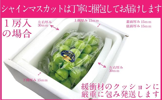 ぶどう 2026年 先行予約 シャイン マスカット 晴王 1房 約700g ブドウ 葡萄  岡山県産 国産 フルーツ 果物 ギフト 