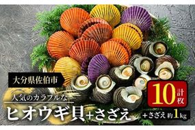 ヒオウギ貝(10枚)とサザエ(約1kg) 魚介 貝 ヒオウギ貝 ひおうぎ貝 サザエ さざえ 栄螺 酒蒸し 網焼き バター焼き バーベキュー 獲れたて 冷蔵 海の直売所 大分県 佐伯市【AS120】【海べ (株)】