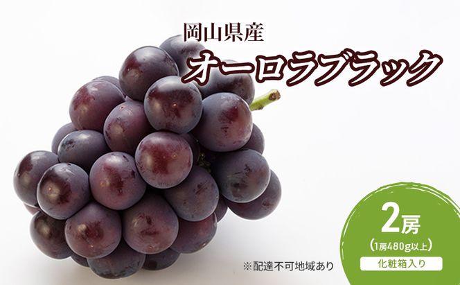 ぶどう 2026年 先行予約 オーロラブラック 2房(1房480g以上)　化粧箱入り ブドウ 葡萄 岡山県産 国産 フルーツ 果物 ギフト 