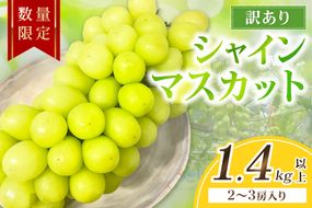 【先行予約／数量限定100】訳ありシャインマスカット 1.4kg以上（2～3房入り）（2026年9月上旬～発送）　FK00020