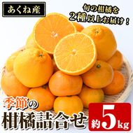 竹ん子山の季節の柑橘詰め合わせ(約5kg) 国産 鹿児島県産 阿久根産 柑橘 果物 温州みかん ミカン 蜜柑 ボンタン ぼんたん 文旦 しらぬい しらぬひ 不知火 サワーポメロ フルーツ 果実 期間限定 セット 詰合せ バラエティ 【竹ん子山】akn097-13
