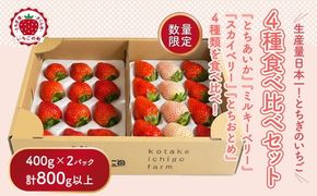 大満足4種食べ比べセット（とちおとめ、ミルキーベリー、とちあいか、スカイベリー）400g×2パック 800g｜先行予約 数量限定 ※2026年2月上旬～4月中旬頃に順次発送予定