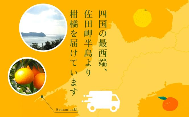 【先行予約】清見タンゴール（貯蔵・生果5kg）※離島への配送不可（2026年4月下旬より順次発送予定） IKTBD007